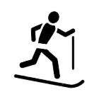 Běh na lyžích